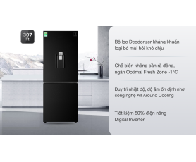 TỦ LẠNH SAMSUNG INVERTER 280L RB30N4170BU/SV