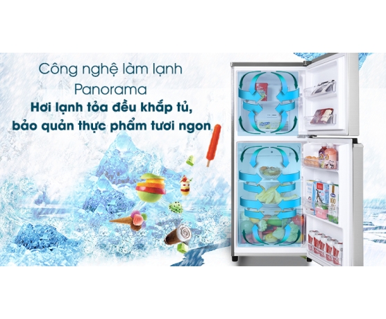 TỦ LẠNH PANASONIC INVERTER 170 LÍT NR-BA190PPVN 